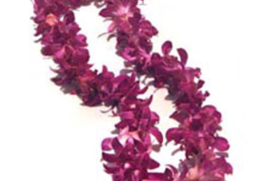 Orchid Leis, Dendrobium single bloom-purple
