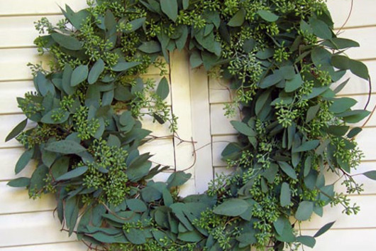 Wreath, Seeded Euc. 16 x8"