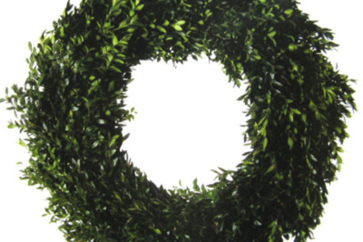 Boxwood Green Round Wreath 16"
