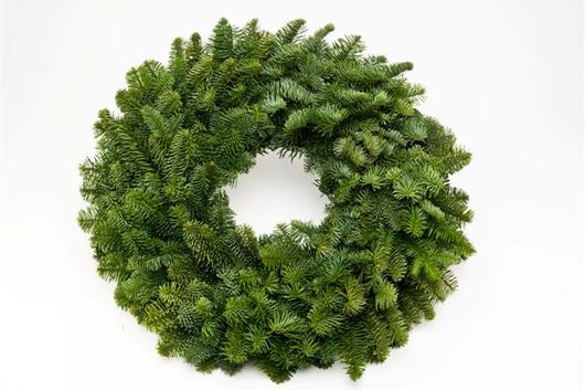 Wreath, Plain Noble 16 x6"