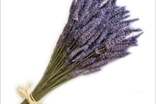 Lavender, dried