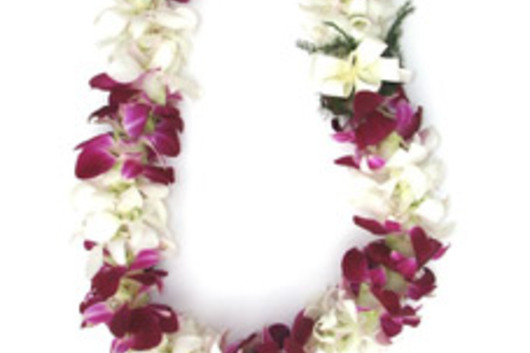 Orchid Leis, Dendrobium double bloom-white/purple