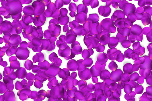 Rose Petal, Purple
